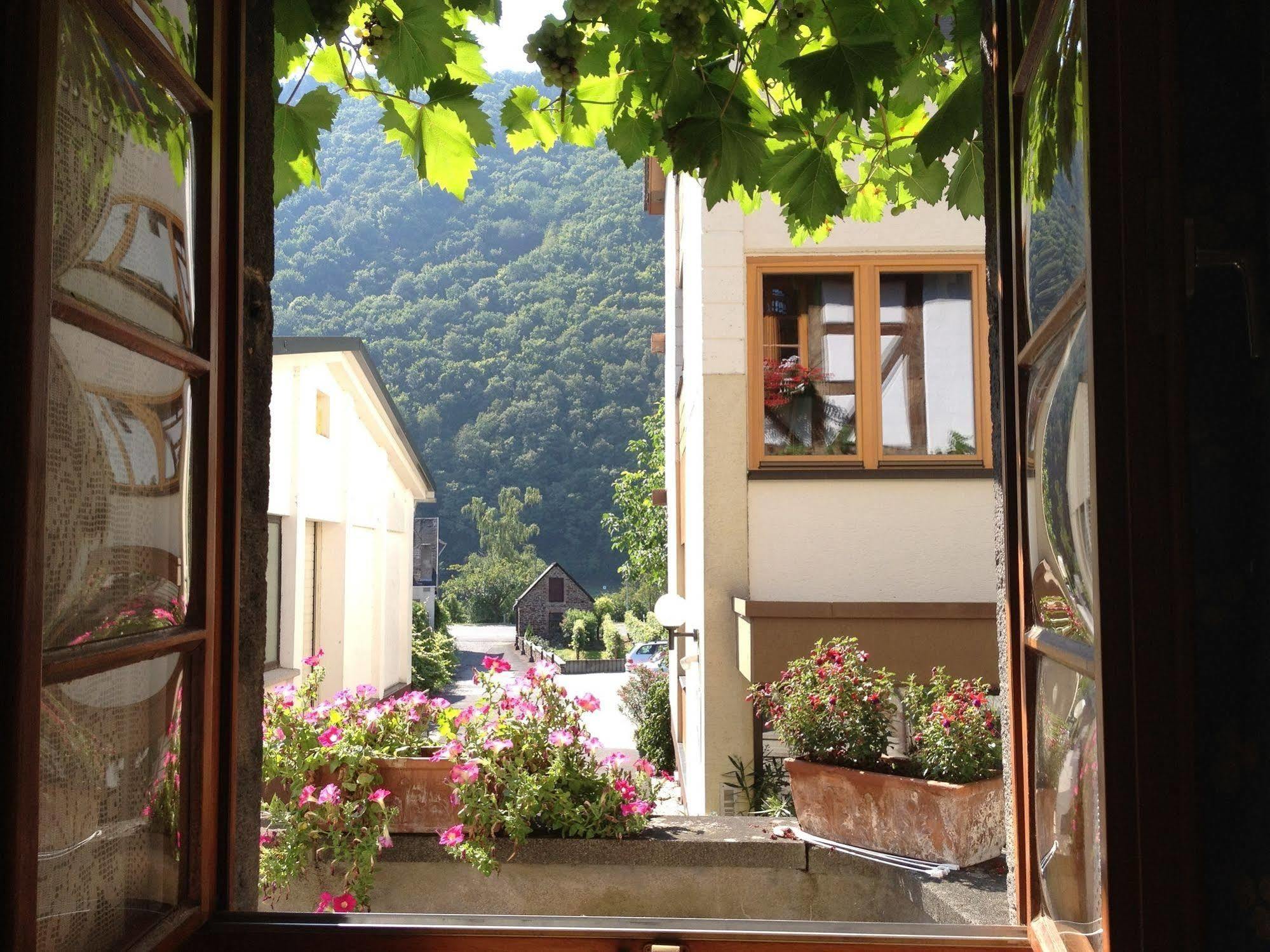 Hotel Weingut Dehren Ellenz-Poltersdorf Exterior photo